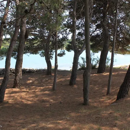 Family Friendly Seaside Apartments Ugljan - 828 Apartment *