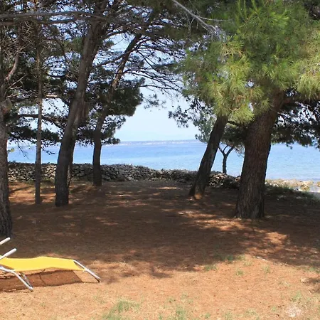 Family Friendly Seaside Apartments Ugljan - 828 Apartment