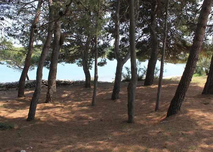 Family Friendly Seaside - 828 Apartmán *